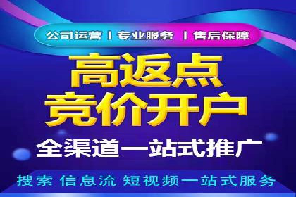 精准投放，高效转化——SEM竞价优化案例集